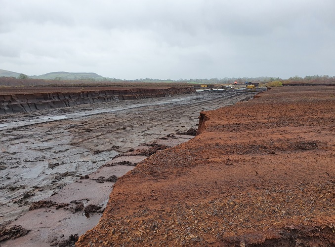 Image of Harte Peat land after extraction of peat