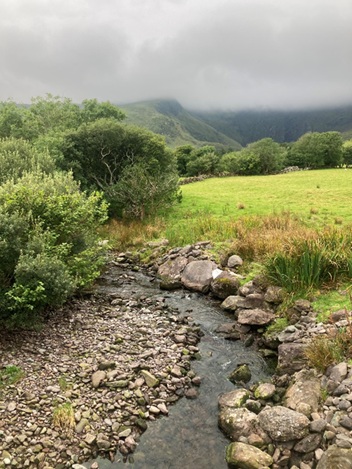 small stream flowing through green landscape