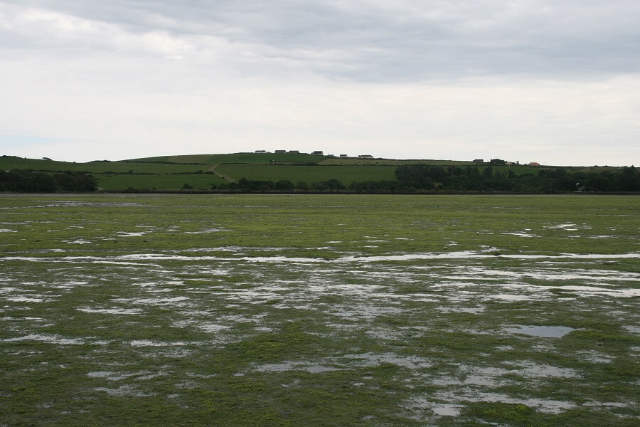A field with flooded with water puddles
