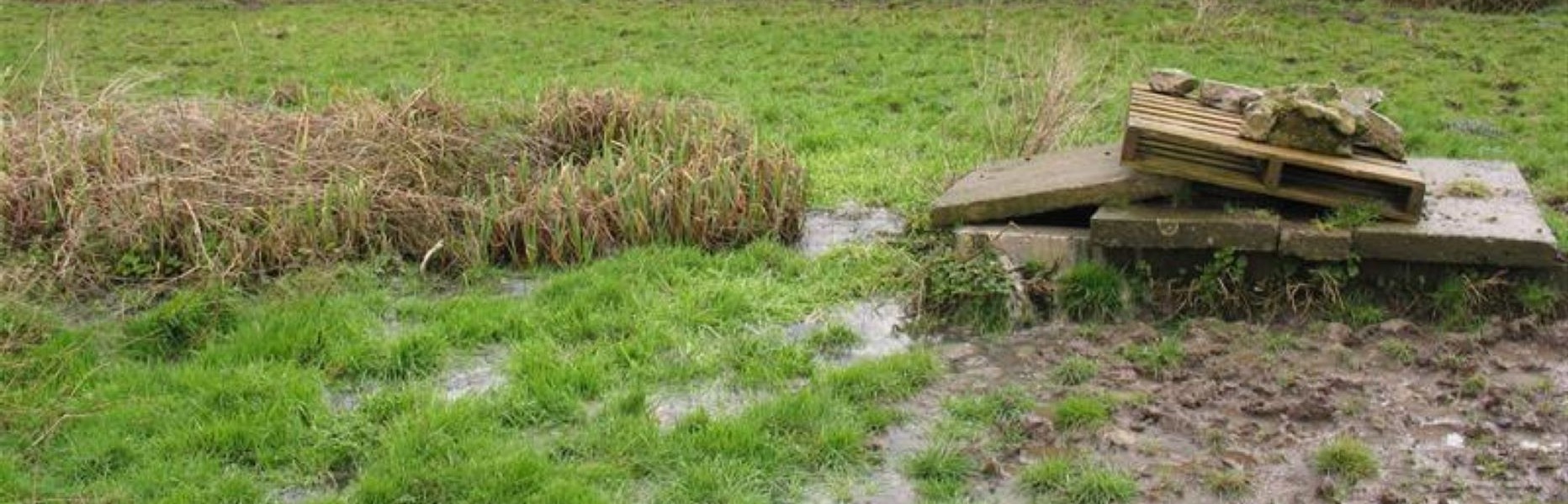 Overflowing Septic Tank (Domestic Waste Water Treatment System - DWWTS)