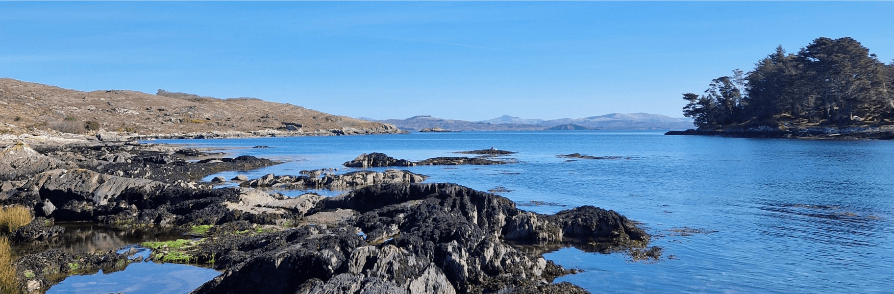 Zetland Coastline Cork, by Caroline Plant EPA