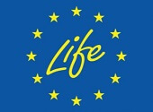 Life Logo for EPA LIFE Emerald Project