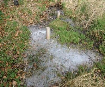Ponding of septic tank waste water