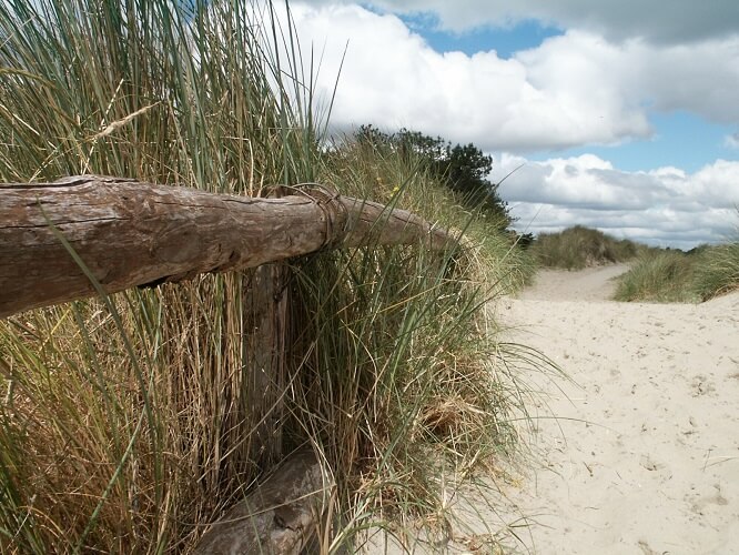 Photograph of Curracloe County Wexford