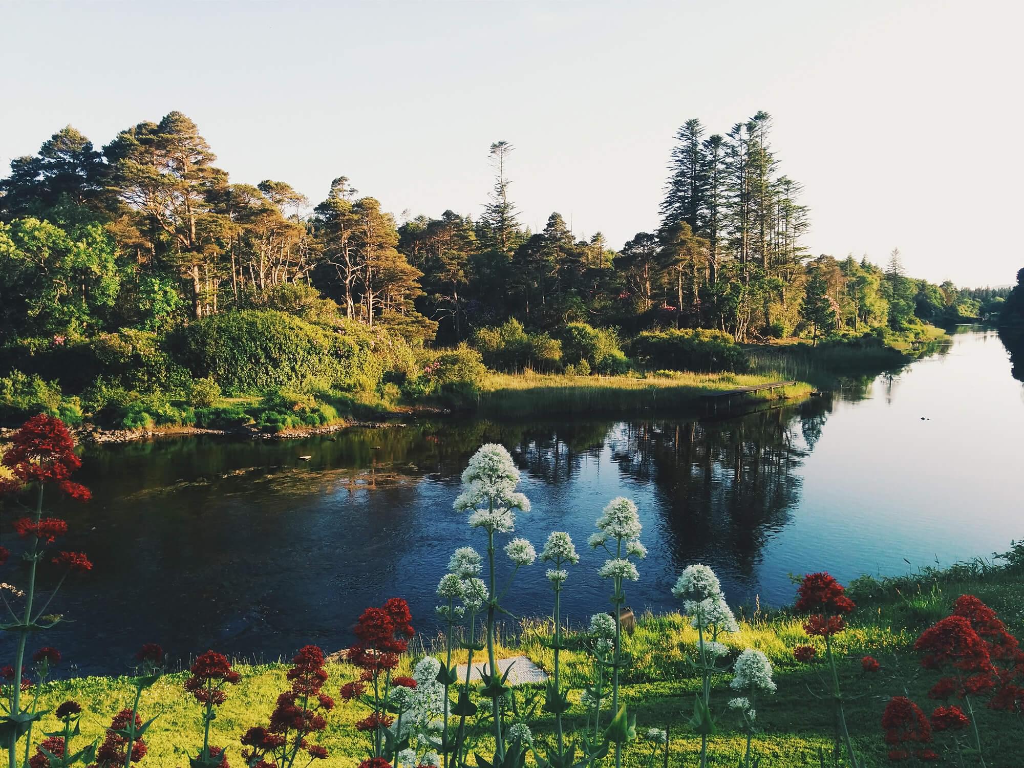 Scenic view of a lake at the edge of a woodland area