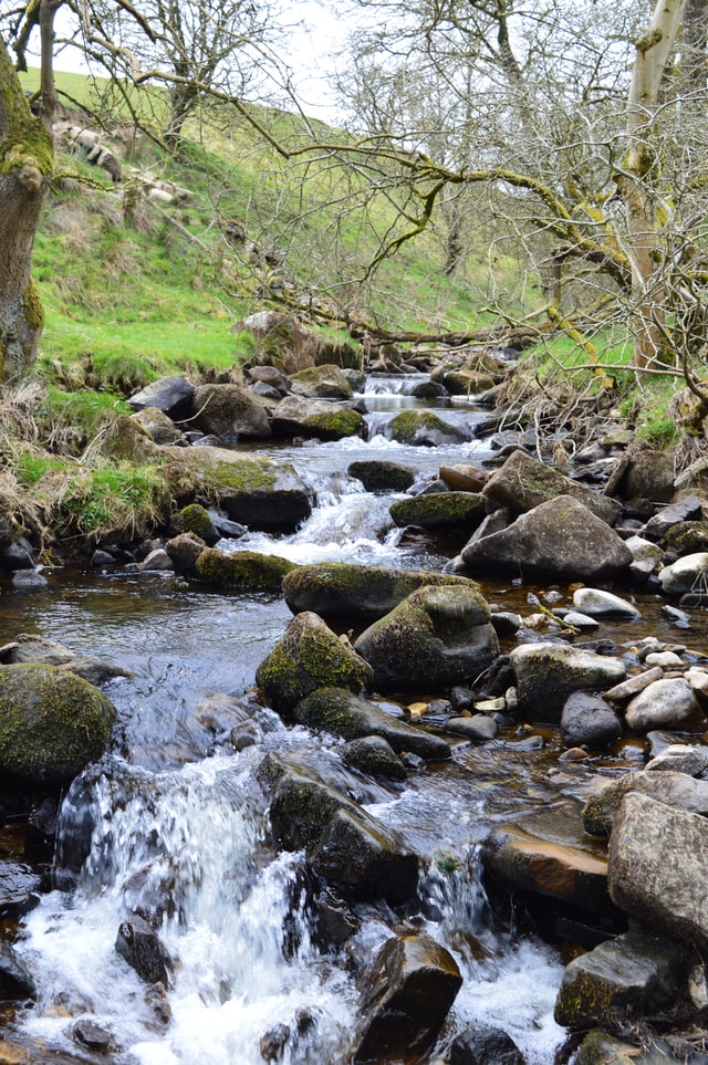 Stream