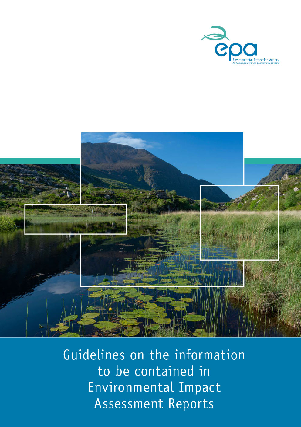 Guidelines on the information to be contained in EIAR