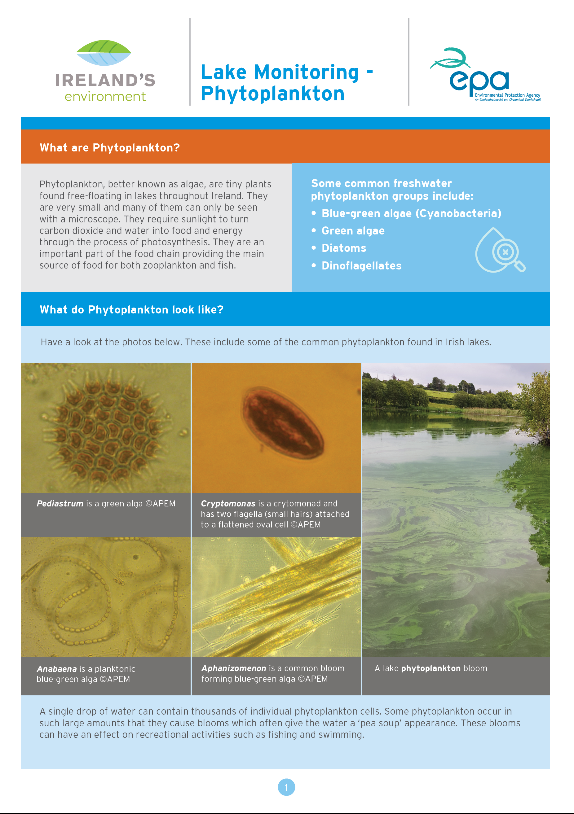 Lake monitoring phytoplankton factsheet