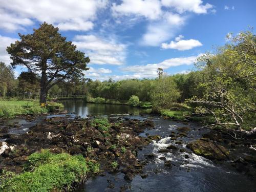 a river running through the countryside