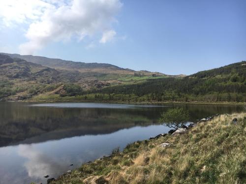 calm view of a lake and mountains