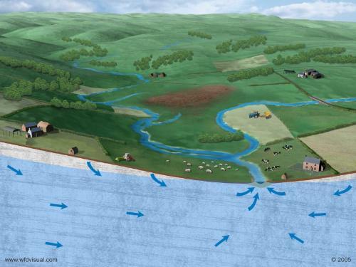 groundwater illustration