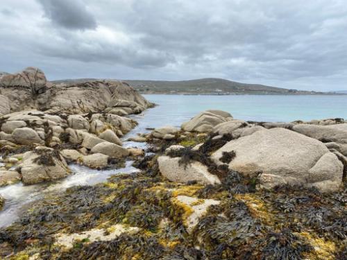 a view of a rocky shore looking out to sea
