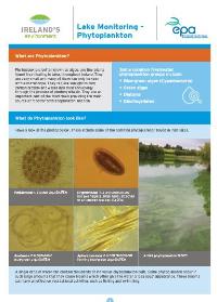 Lake Monitoring Phytoplankton fact sheet cover