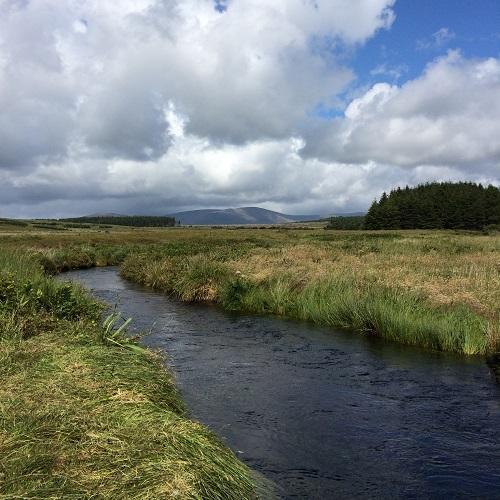 a river running through rural landscape with the Comeraghs in the background