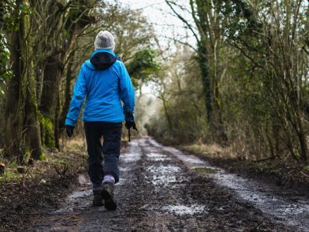 Person wearing blue raincoat walking on wooded path 