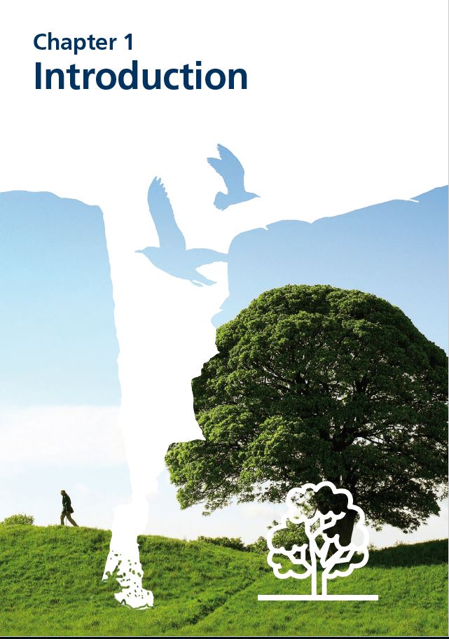 Report Cover IE's 2020 - Chapter 1