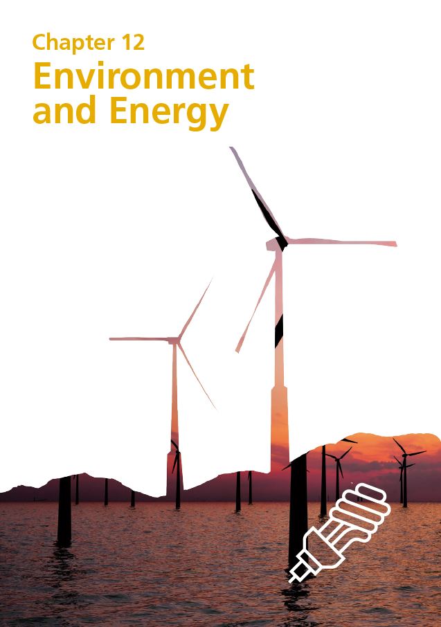 Report cover IE 2020 - Chapter 12