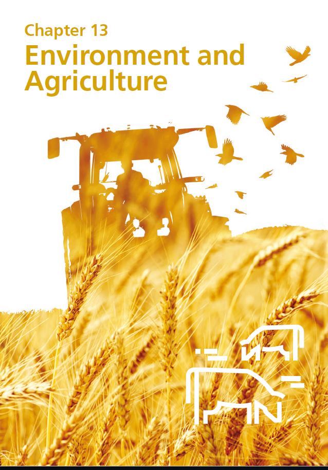 Report cover IE 2020 - Chapter 13
