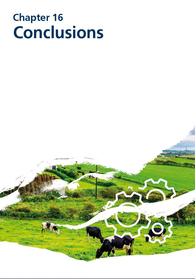 Report cover IE 2020 - Chapter 16