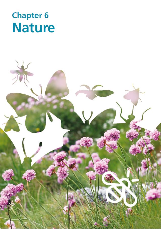 Report cover IE 2020 - Chapter 6