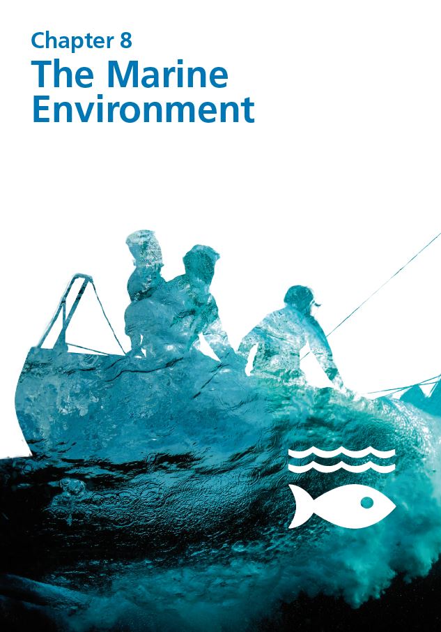 Report cover IE 2020 - Chapter 8