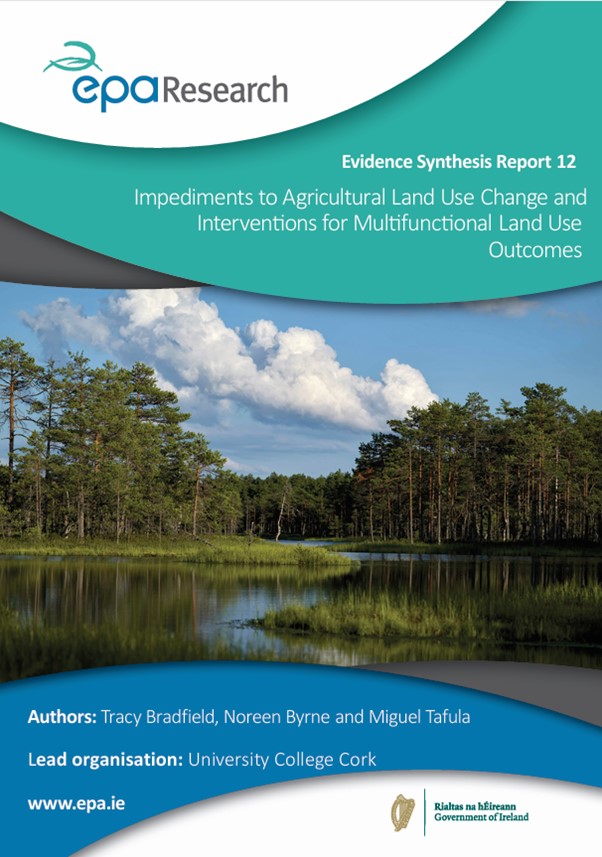 Evidence Synthesis Report 12 thumbnail