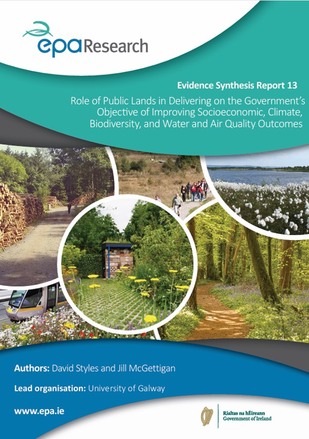 Evidence Synthesis Report 13 thumbnail