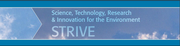 STRIVE banner