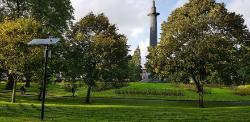 Green park with some pedestrians walking through it and trees